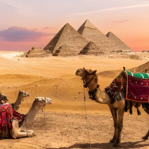 Privater Ausflug mit dem Flugzeug zu den Pyramiden von Sakkara, Dahshur und Gizeh Ab Makadi Bay