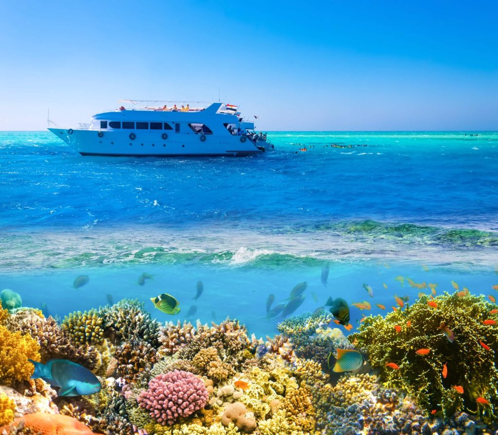 Private Boot Hurghada