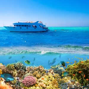 Private Boot Hurghada