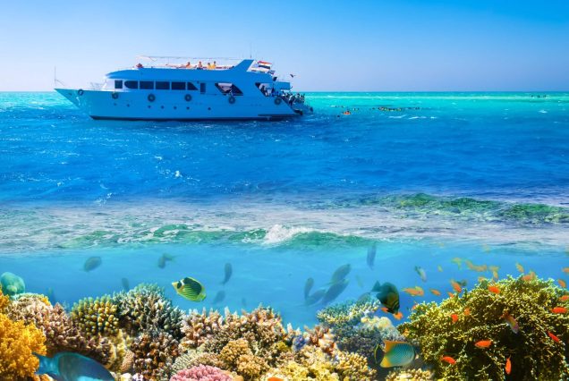 Private Schnorchel-Tour ab Sharm El Sheikh